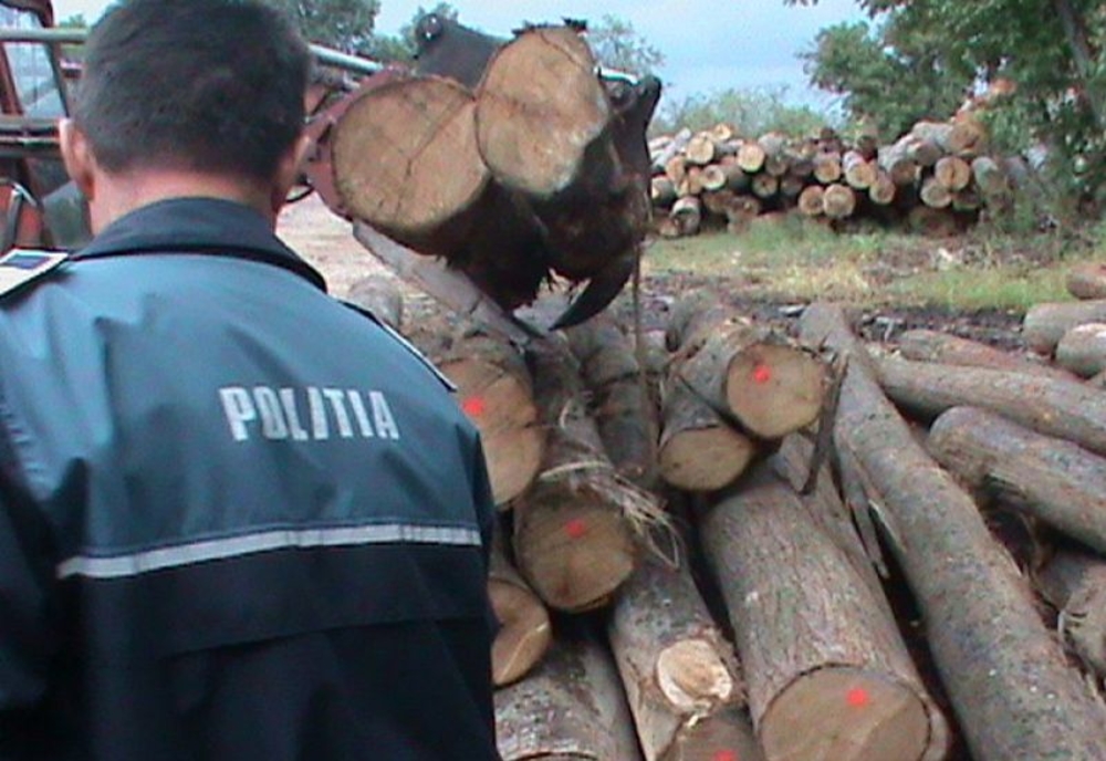 Amenzi aplicate și material lemnos confiscat de polițiștii din Bacău