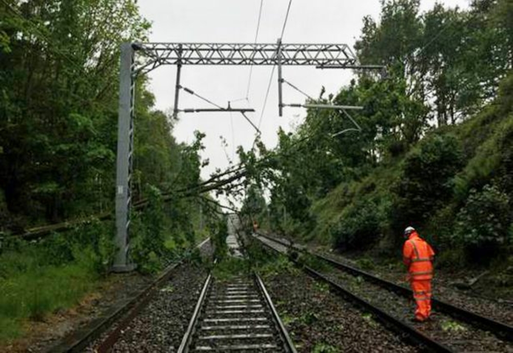 Circulație feroviară blocată în Prahova, la Plopeni, din cauza unui copac căzut pe calea ferată