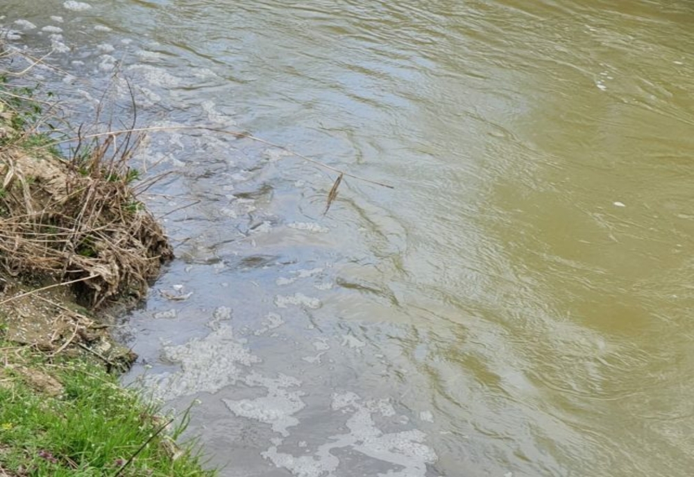 Dosar penal pentru poluarea râului Ciorogârla. Un angajat al Apelor Române Giurgiu a sesizat deversarea de ape uzate provenite de la vidanje