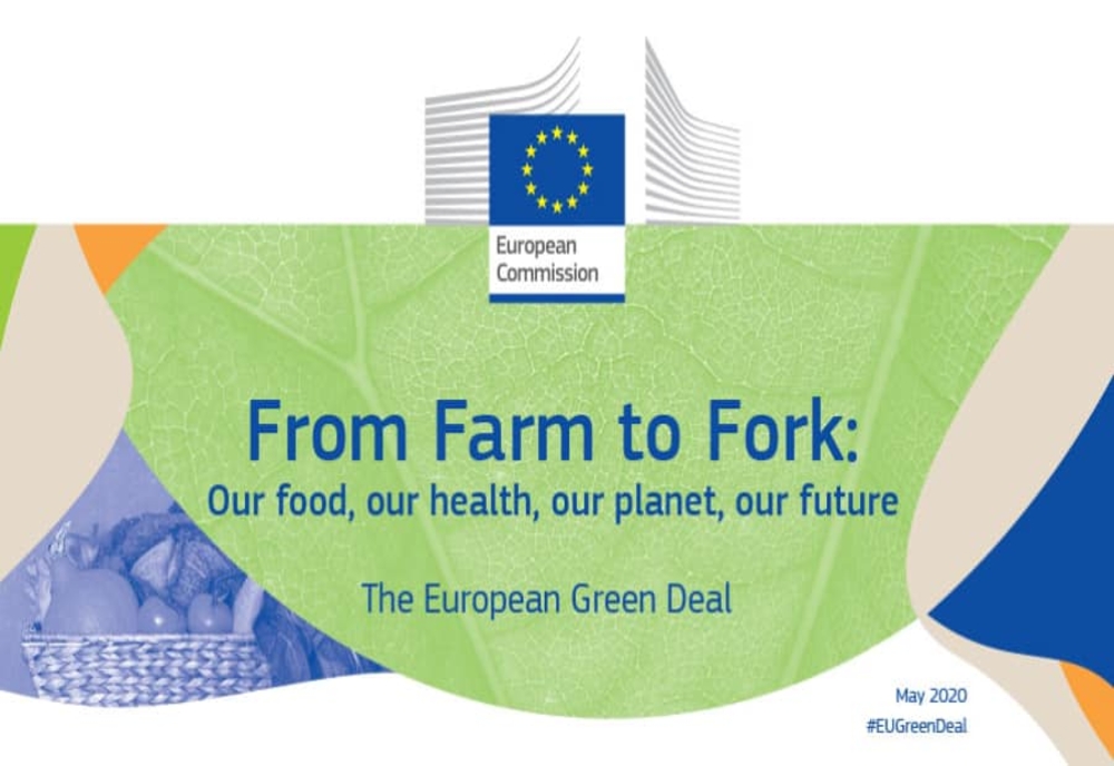 Dan Motreanu: Am solicitat Comisiei Europene să evalueze impactul noii Strategii „De la fermă la consumator”