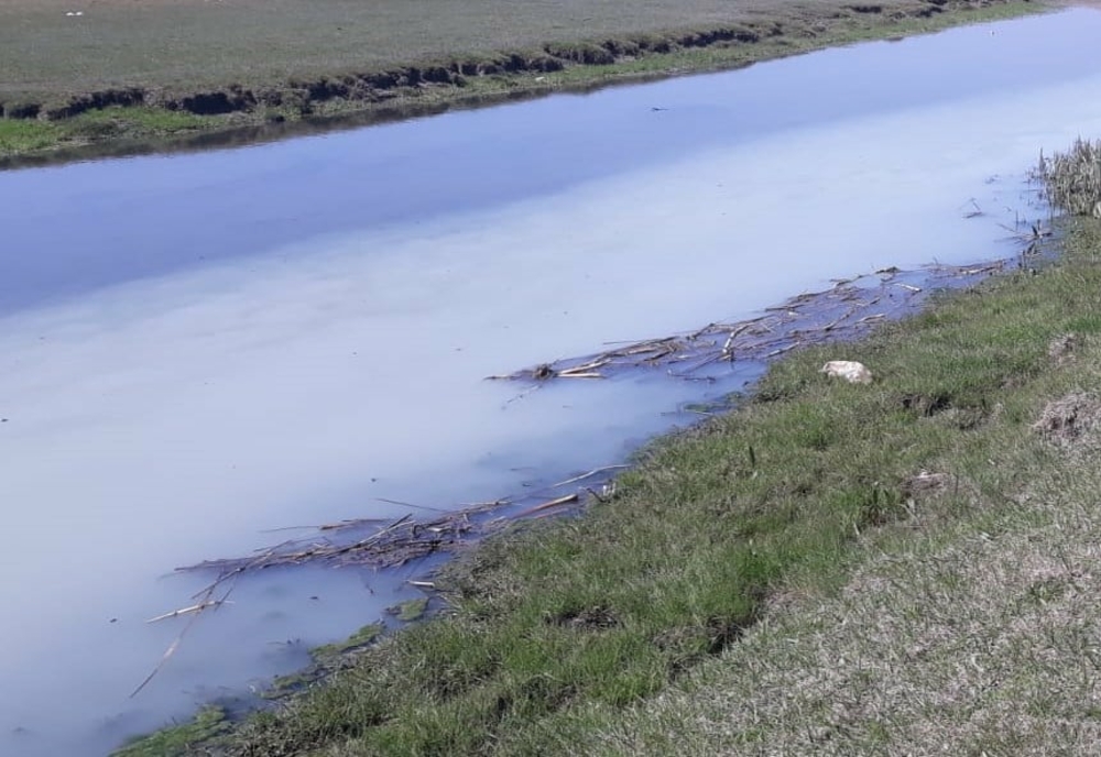 Mai multe substanțe chimice, în special substanțe organice, sulfați, cloruri și fosfați, dar si detergenți au poluat apele pârâului Negreasca și râul Călmățui