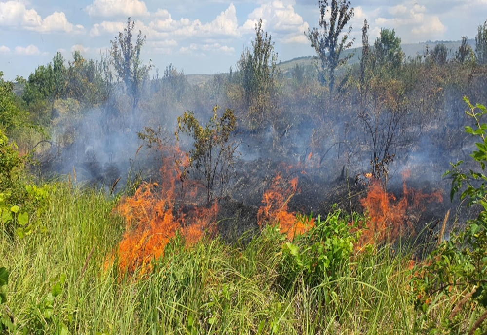 Incident rutier generat de fumul degajat de un incendiu de vegetație