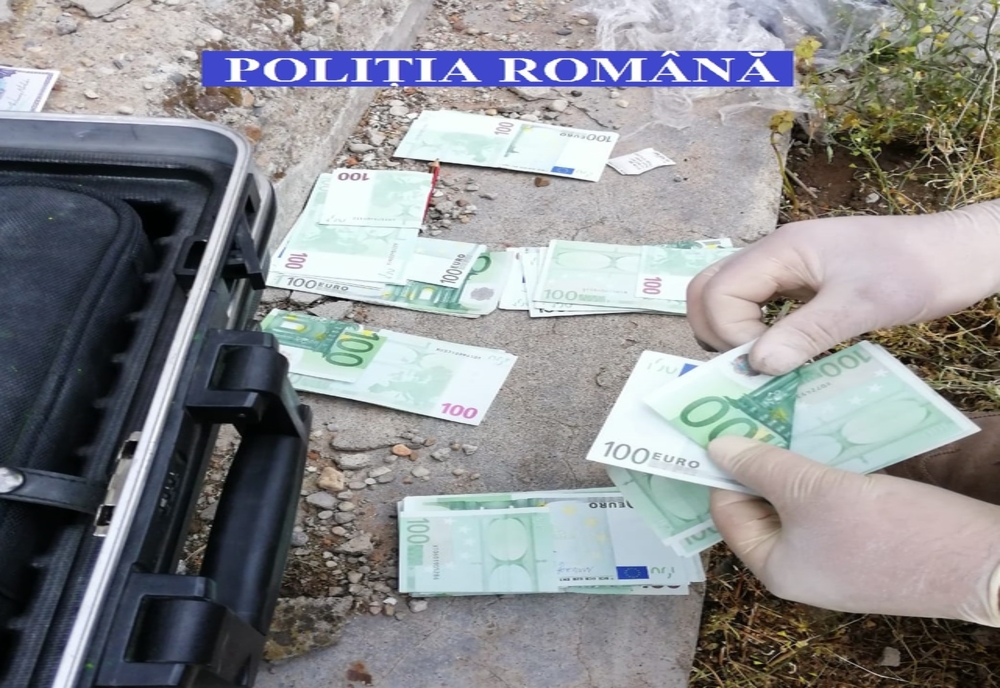 Peste 100.000 de euro, dezgropați de polițiști în două gospodării din Timiș! Banii erau furați