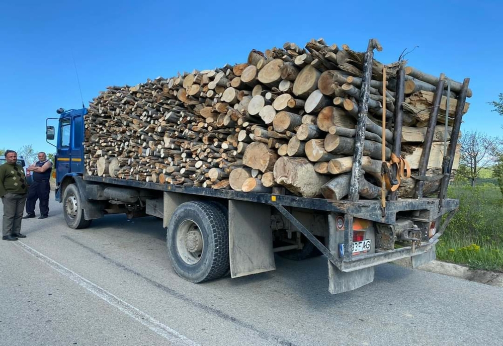 Transporta cu un autotren material lemnos, fără a deține documente de transport