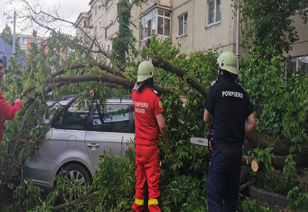 Copac căzut peste o maşină, în Craiova