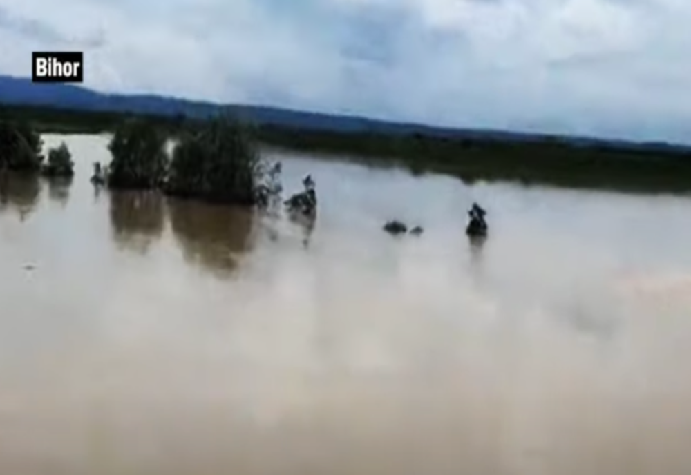 VIDEO – Inundații puternice în mai multe județe