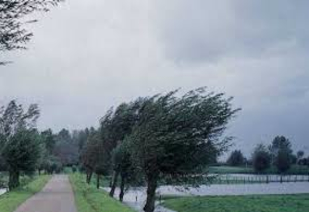 Vijelii şi ploi torenţiale, în Vâlcea şi Gorj. Meteorologii au emis coduri de avertizare