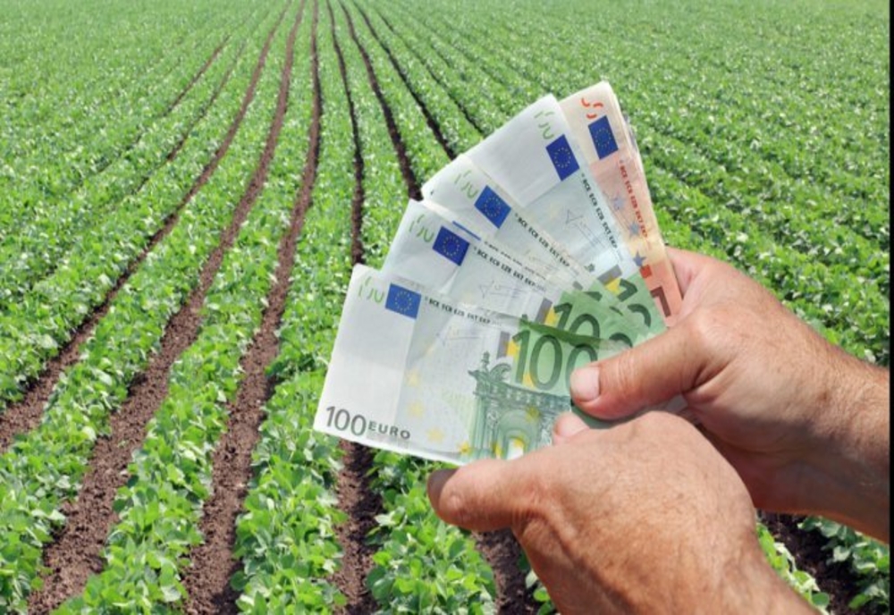 Tinerii din diaspora pot solicita fonduri nerambursabile până în data de 5 iulie! Sprijinul pentru instalarea tinerilor fermieri poate ajunge la 50.000 de euro