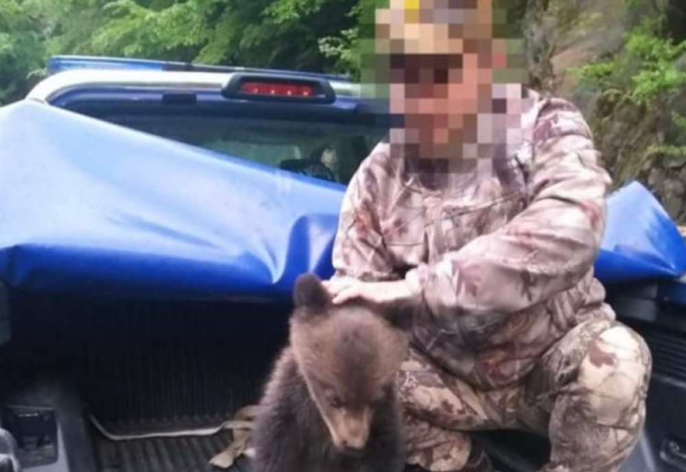 Pui de urs căzut de pe munte în zona Vidraru, salvat de un jandarm