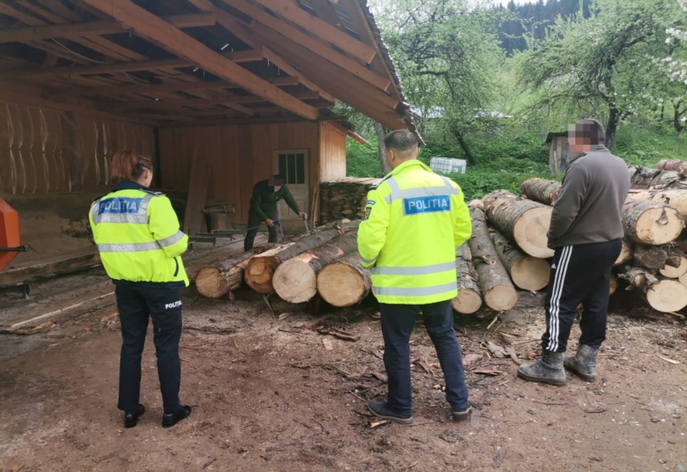 Material lemnos confiscat de polițiști