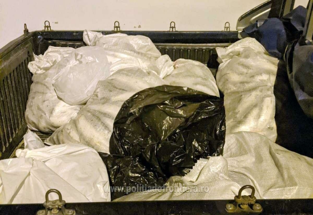 172  kilograme de scrumbie confiscate la Sfântu Gheorghe