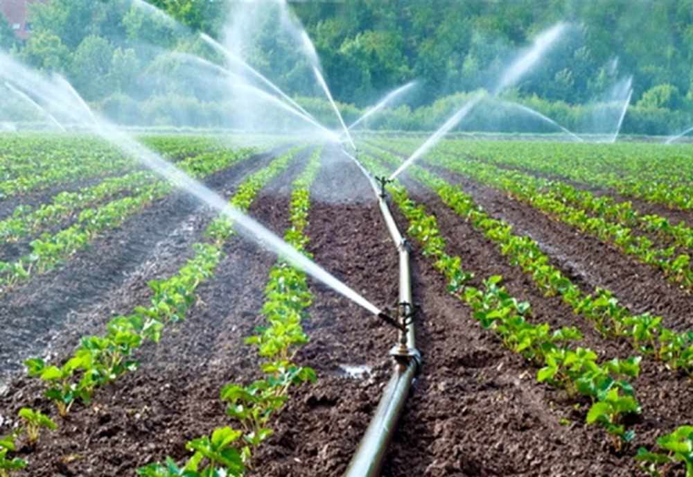 Locuitorii din Alba, atenţionaţi să nu mai ude grădinile cu apă potabilă