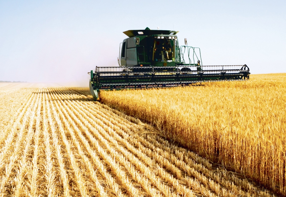 România a coborât în topul exportatorilor de grâu. Pe ce loc ne aflăm