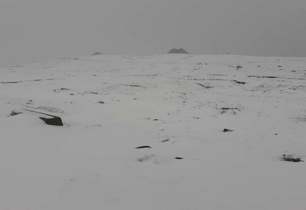 Ninge în Munții Bucegi. Zăpadă  în iunie la Refugiul Salvamont din Bușteni – FOTO, VIDEO