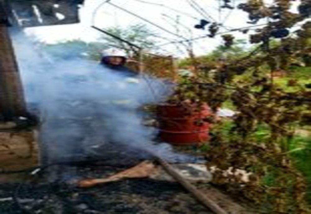 Incendiu violent la Malu. Pompierii intervin cu două autospeciale