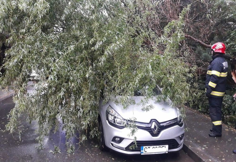 Slatina: Un copac a căzut pe o maşină
