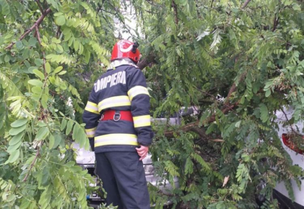 15 copaci căzuți în municipiul Brăila. Două mașini avariate