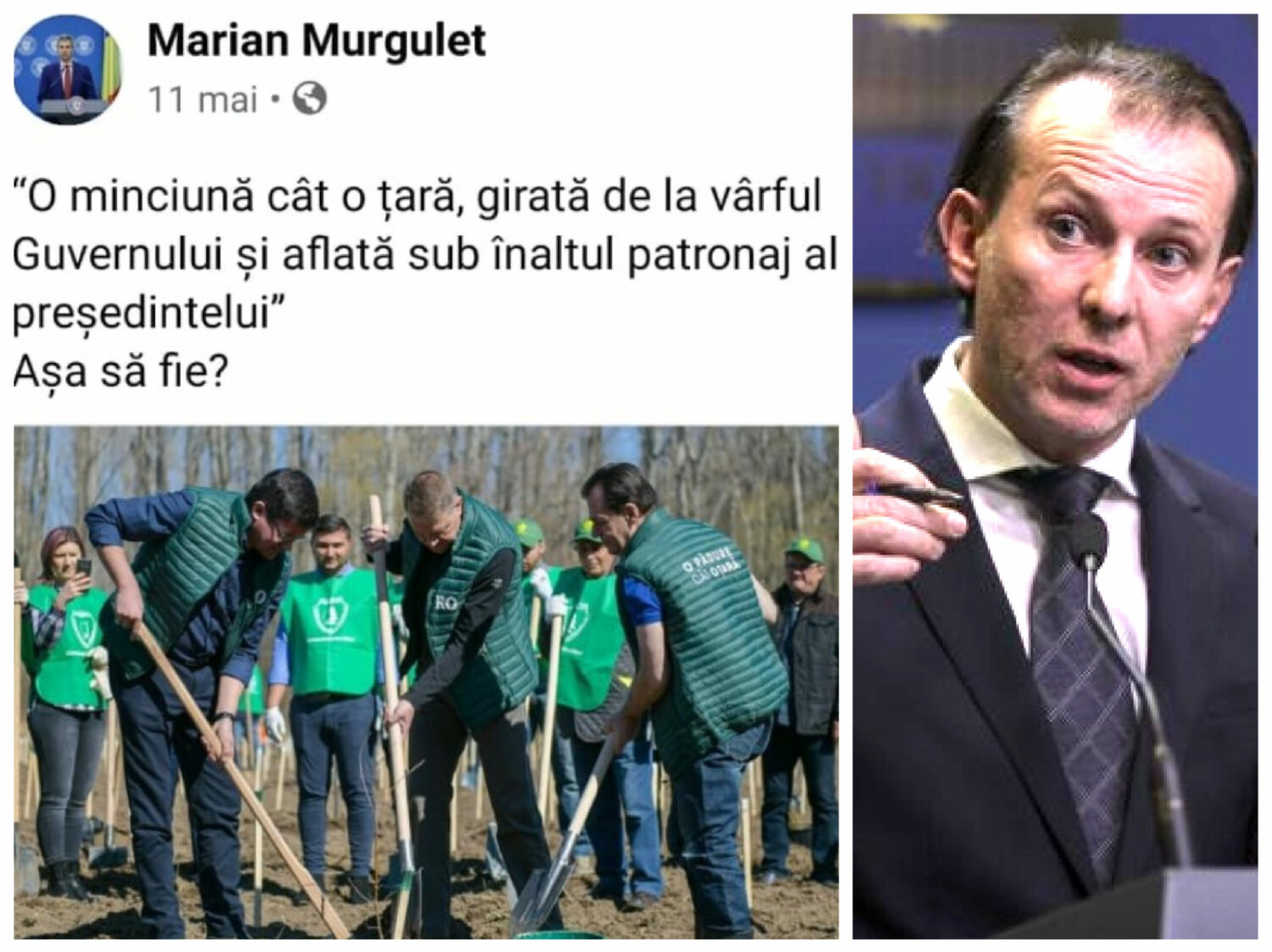 Cum l-a ”executat” Cîțu pe Murguleț, ministrul care îl ”înjura” pe Iohannis că plantează copaci de PR