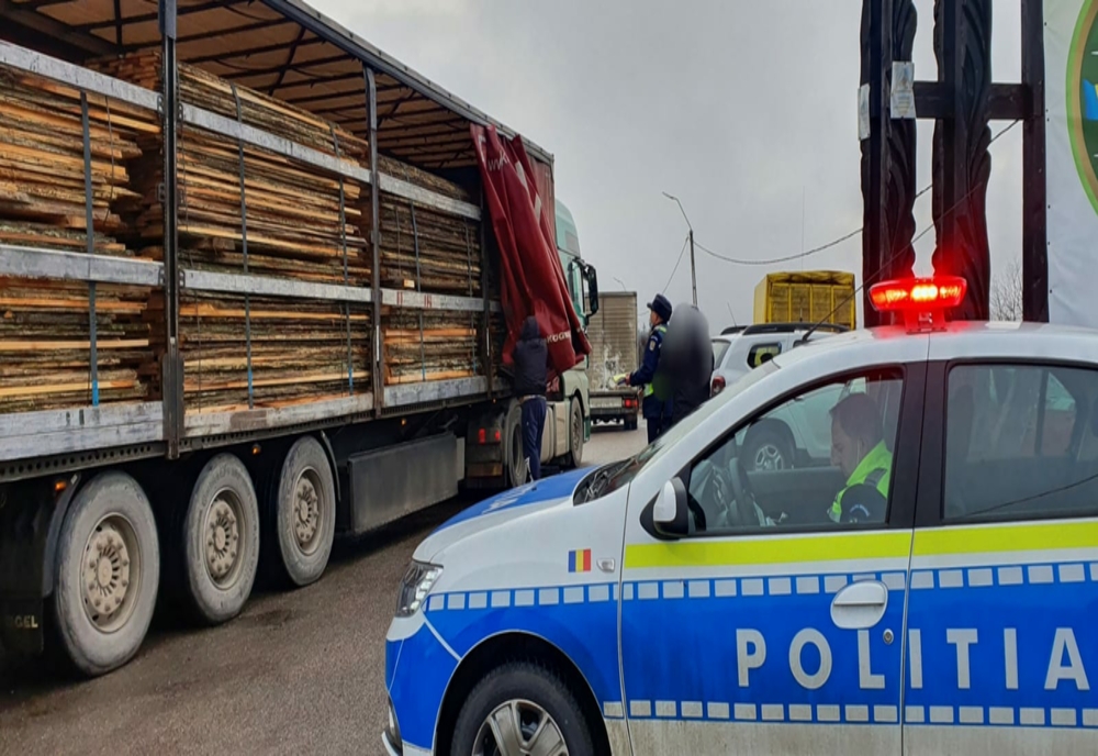 Aproape 40 mc de material lemnos, confiscat de polițiștii sătmăreni, în ultima săptămână