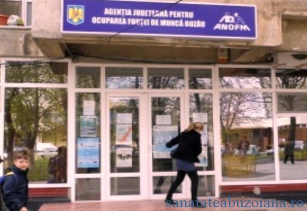 Oferta locurilor de muncă de la nivelul județului Buzău