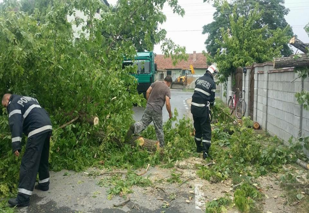 Copaci căzuți și curți inundate după vijelia din Caraș-Severin
