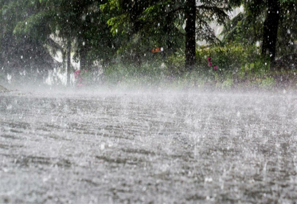 Efectul ploilor torențiale în Mureș: 16 curți inundate, fire de curent căzute pe carosabil și copaci rupți de vânt