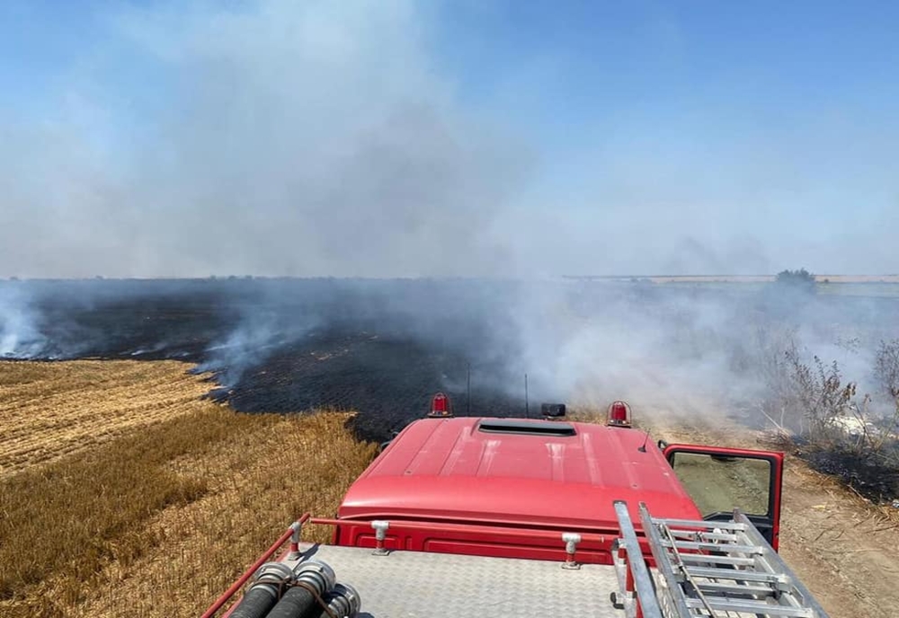 20 de hectare de vegetație uscată au ars la Țăndărei