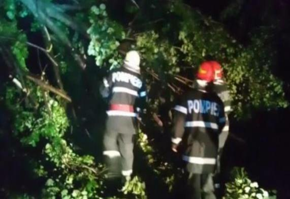 Copac căzut peste calea ferată, în sudul județului Dâmbovița