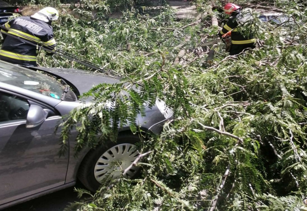 FOTO Mașini avariate de un copac prăbușit