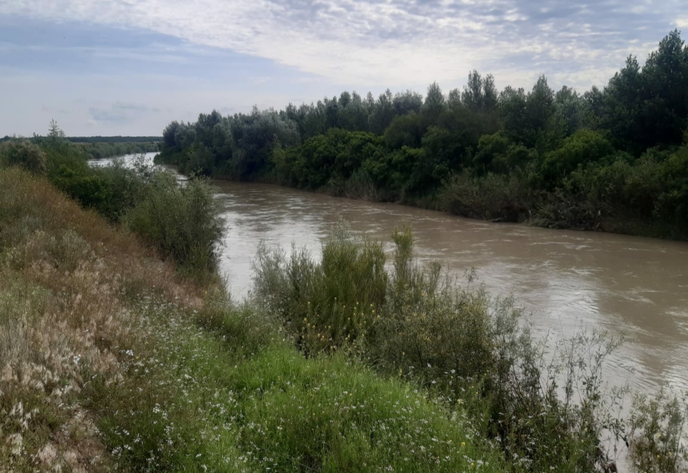 Cadavru plutind pe râul Buzău, în județul Brăila. Este fetița de 5 ani și 7 luni, din Găvănești