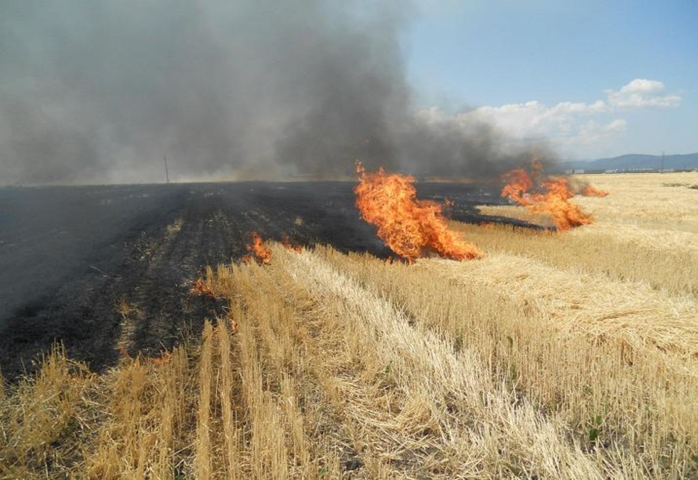 Sezonul incendiilor de vegetație este în toi, în vestul țării: avertizare de la pompieri