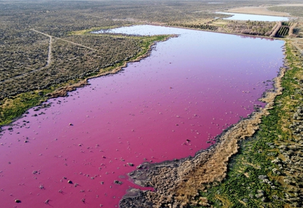 Un lac a devenit roz. Panică în rândul locuitorilor