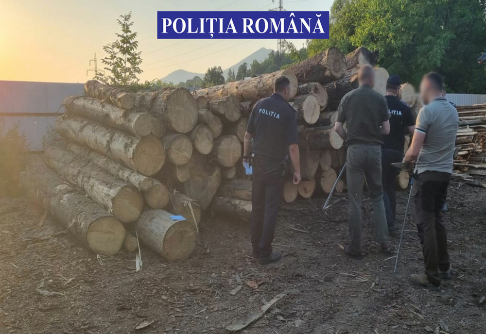 Firma de prelucrarea lemnului de pe Valea Bârgăului, percheziționată de polițiști