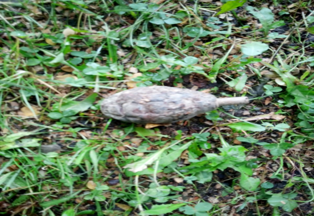 Grenadă descoperită pe marginea unui pârâu din Neamț