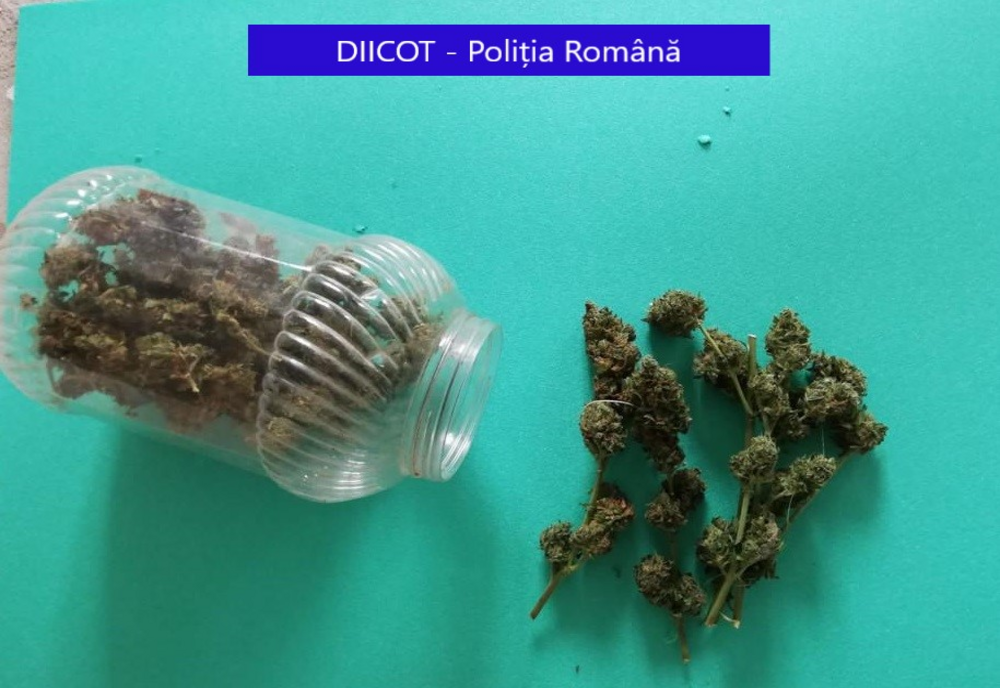 Percheziții la traficanți de droguri din Dâmbovița