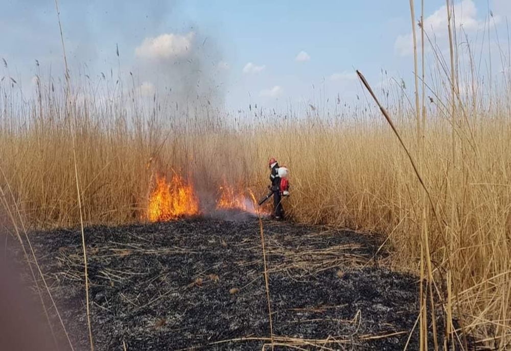 Incendii de vegetaţie uscată, în număr mare, în judeţul Teleorman
