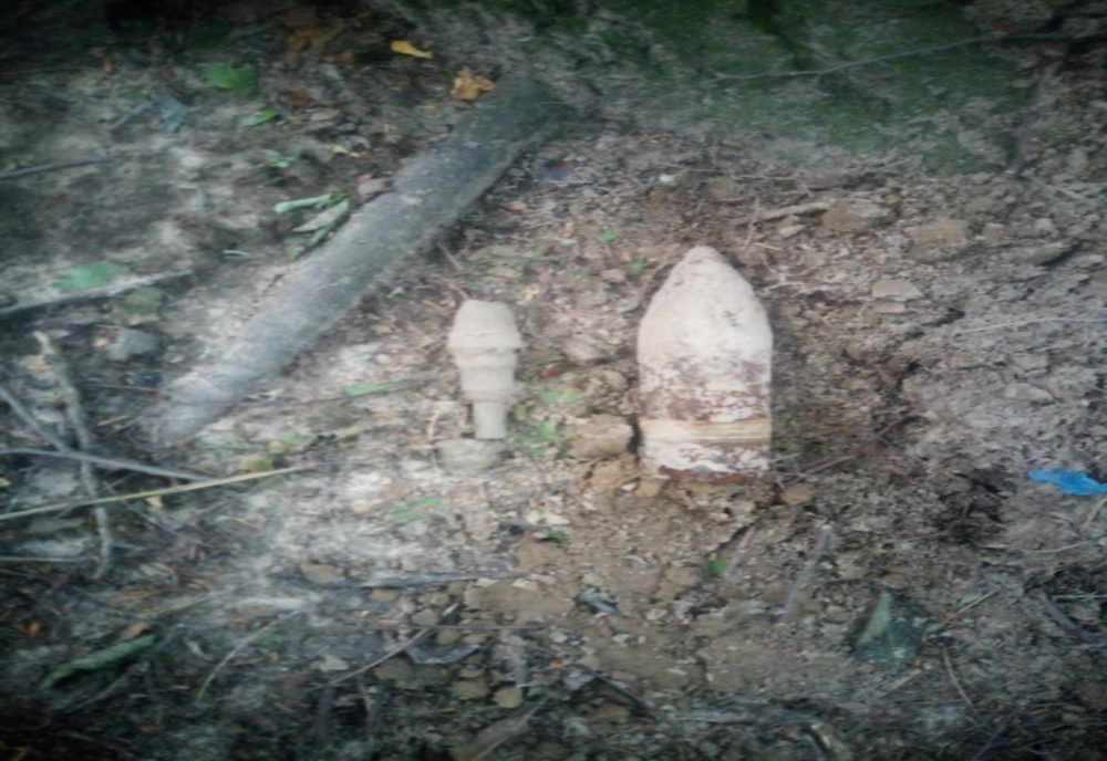 Descoperire periculoasă într-o pădure din Neamț