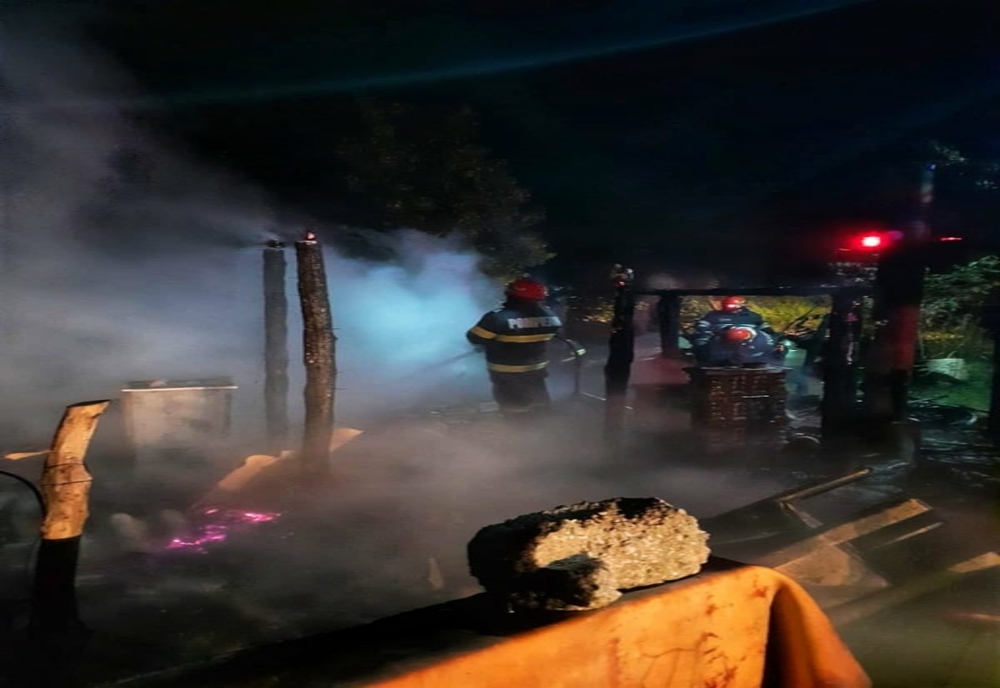 Incendiu violent în Băneasa. Baracă din curtea unui depozit de lemne, distrusă de flăcări