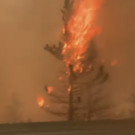 Un întreg oraș din Canada a luat foc după temperaturile de aproape 50 de grade