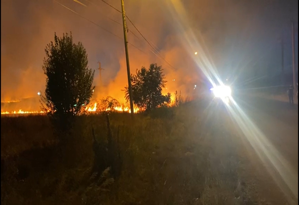 VIDEO. Incendiu de vegetaţie uscată, la Slatina