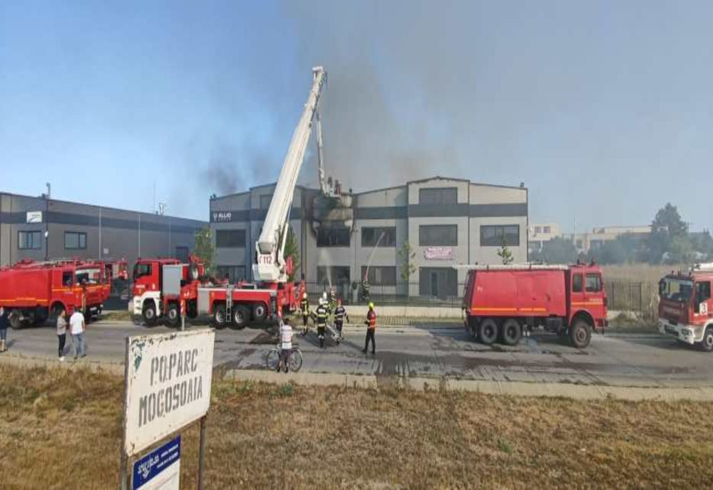 Incendiul de la hala din Mogoșoaia a fost stins după trei ore