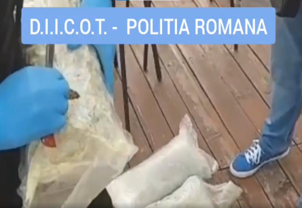 VIDEO: Clujean, prins în flagrant de procurorii DIICOT Bistrița-Năsăud, cu 6 kg de cannabis