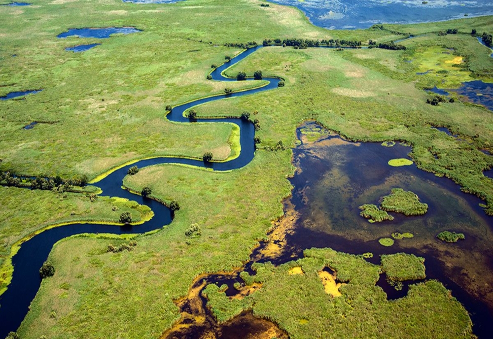 1 septembrie, Ziua Rezervației Biosferei Delta Dunării