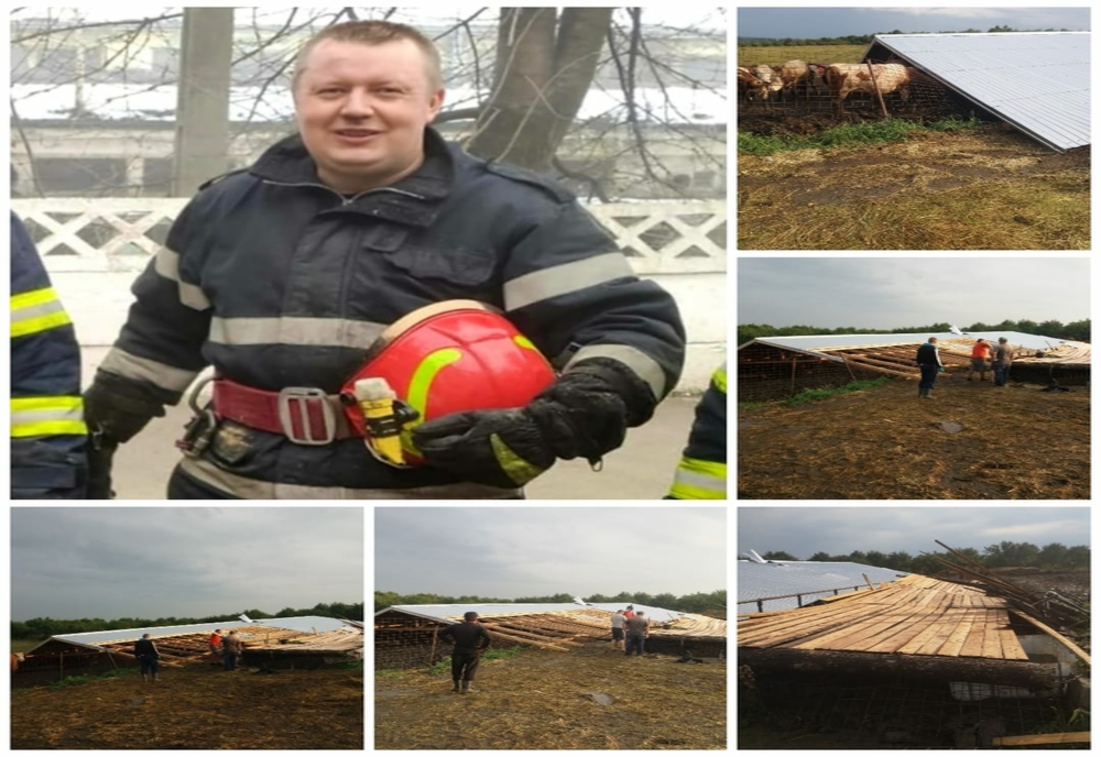 14 vaci salvate de un pompier din Dorohoi aflat în concediu de odihnă