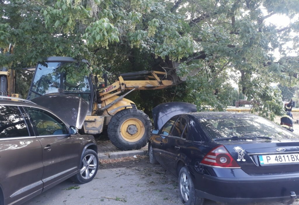 Un copac s-a prăbușit peste două mașini, în apropierea unei grădinițe, la Moreni