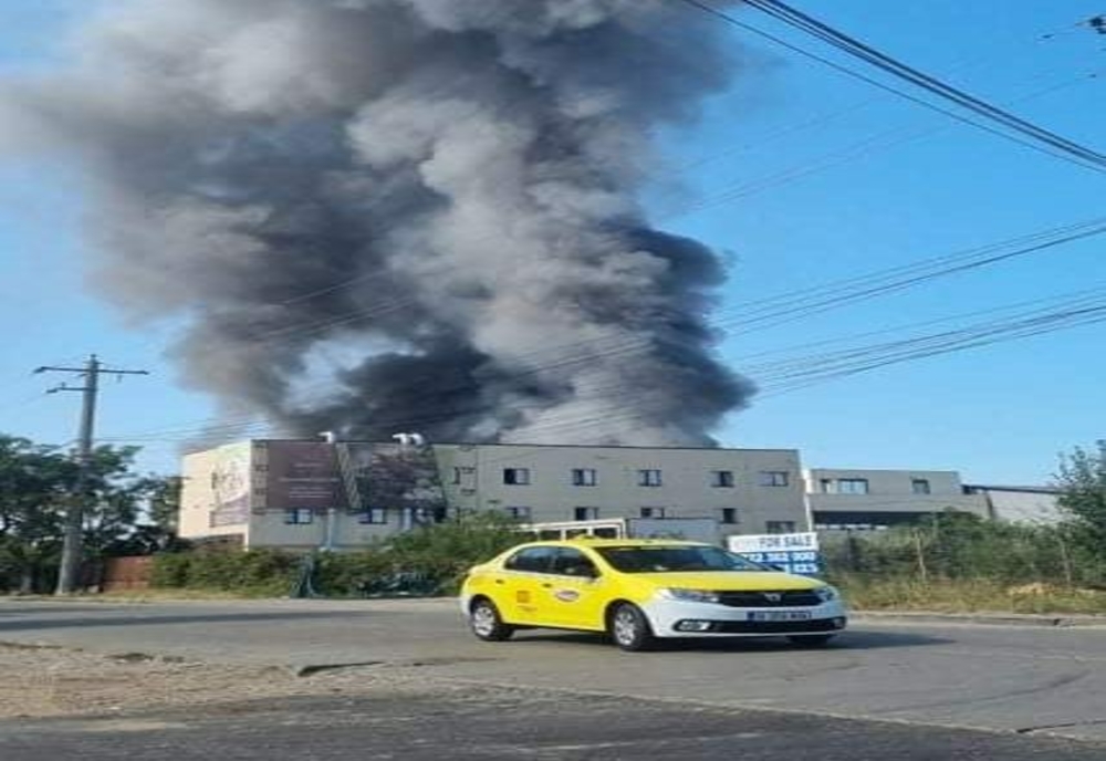 Incendiu de proporții în Mogoșoaia. Intervin 15 autospeciale. Fumul se vede de la depărtare- Video