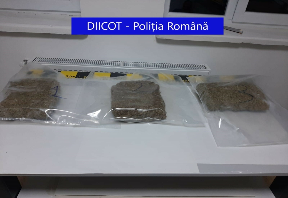 FOTO: Bistrițean, arestat pentru trafic de droguri! La percheziții au fost descoperite peste 3 kg de cannabis