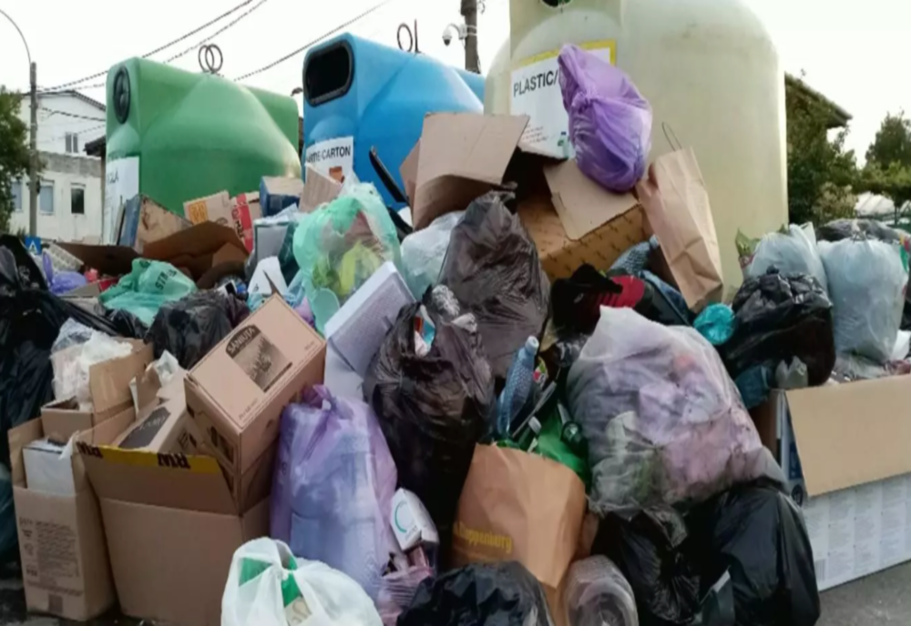 Peste 10 tone de deșeuri, returnate de România Germaniei