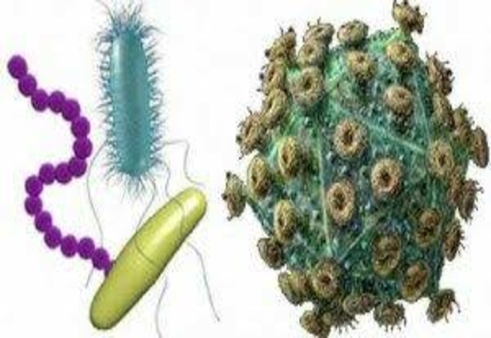 Apa mării din stațiunea Eforie este plină de bacterii din intestinul uman: E. Coli și enterococi