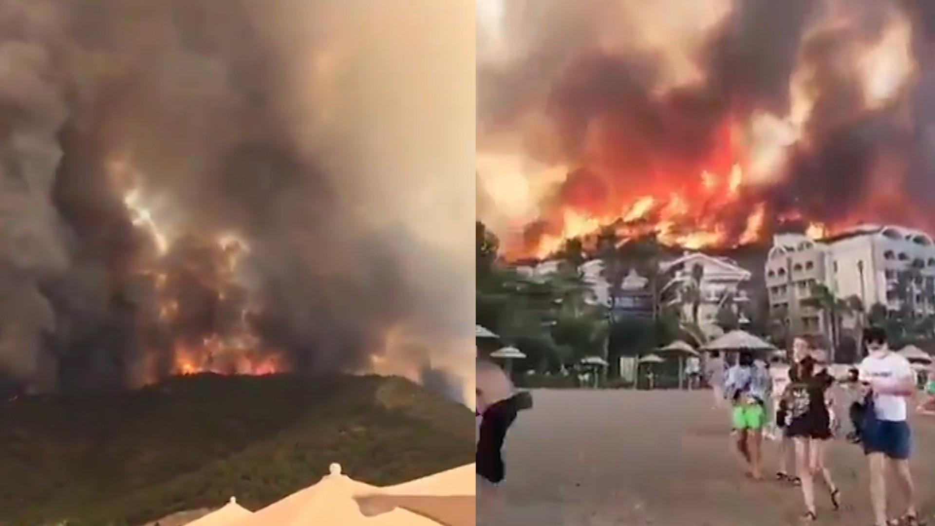 Arde Terra! În SUA, fumul incendiilor a traversat tot continentul! UE sare în ajutorul Turciei și Greciei. ”Am văzut iadul!”